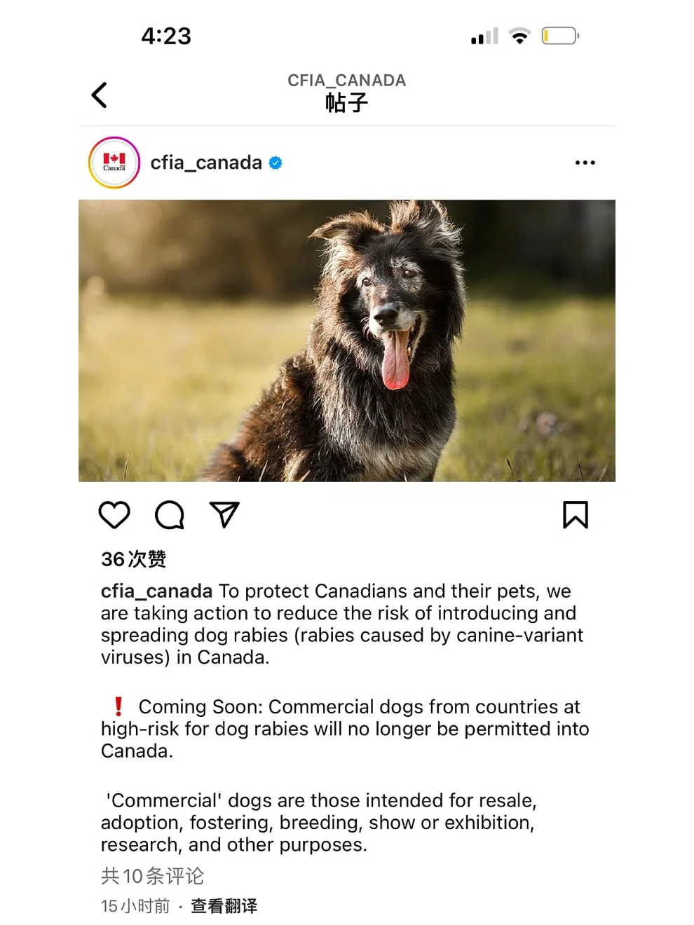 阿扎伦卡官方宣布大比分获胜新规，加拿大队引发争议！